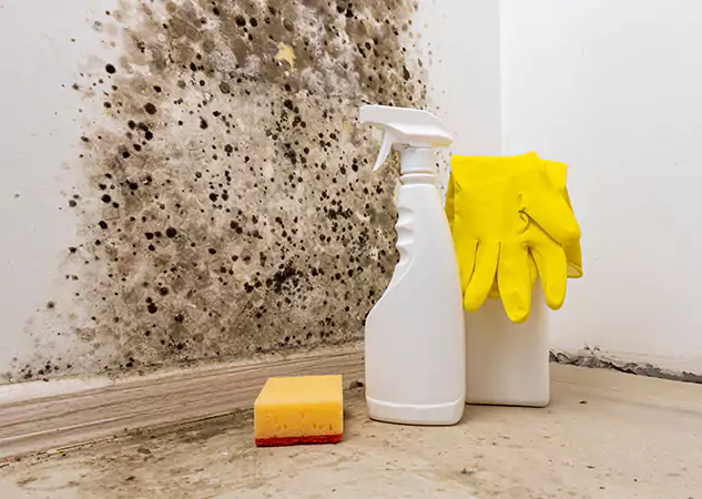 Your Reliable Restoration Company in Winterville, GA