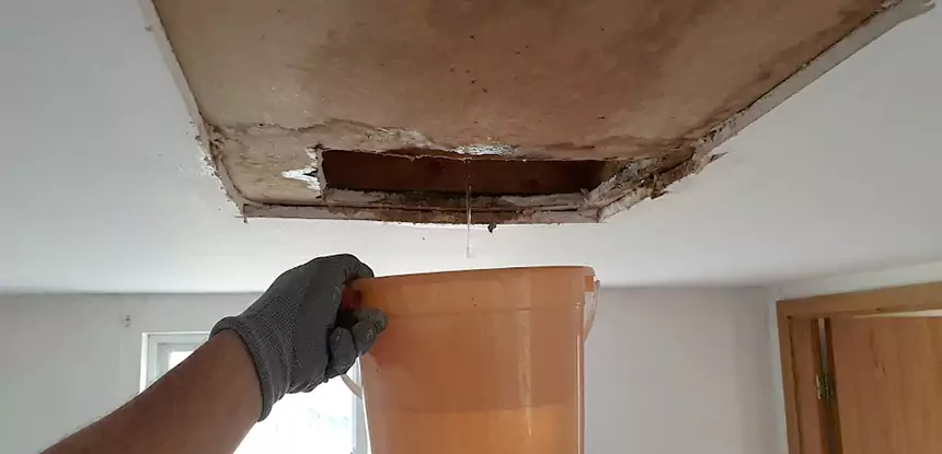 Ceiling Mold Repair Winterville