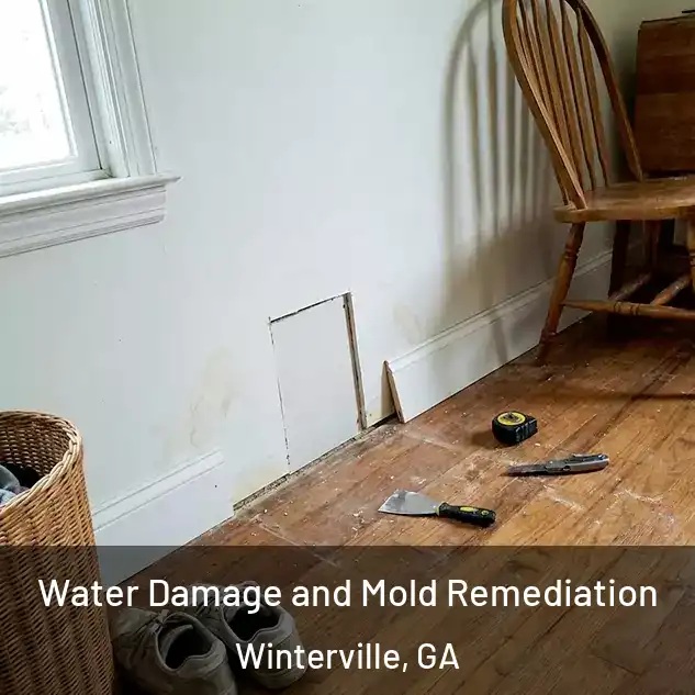  Water Damage and Mold Remediation Winterville, GA